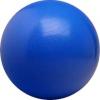 Exercise Ball (blue)